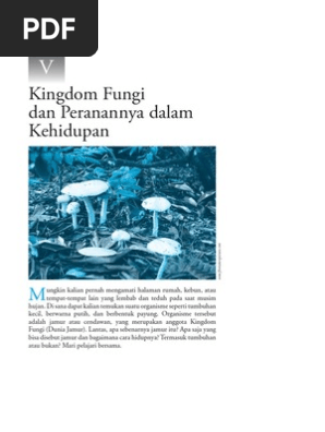 Bab5 Fungi Pdf