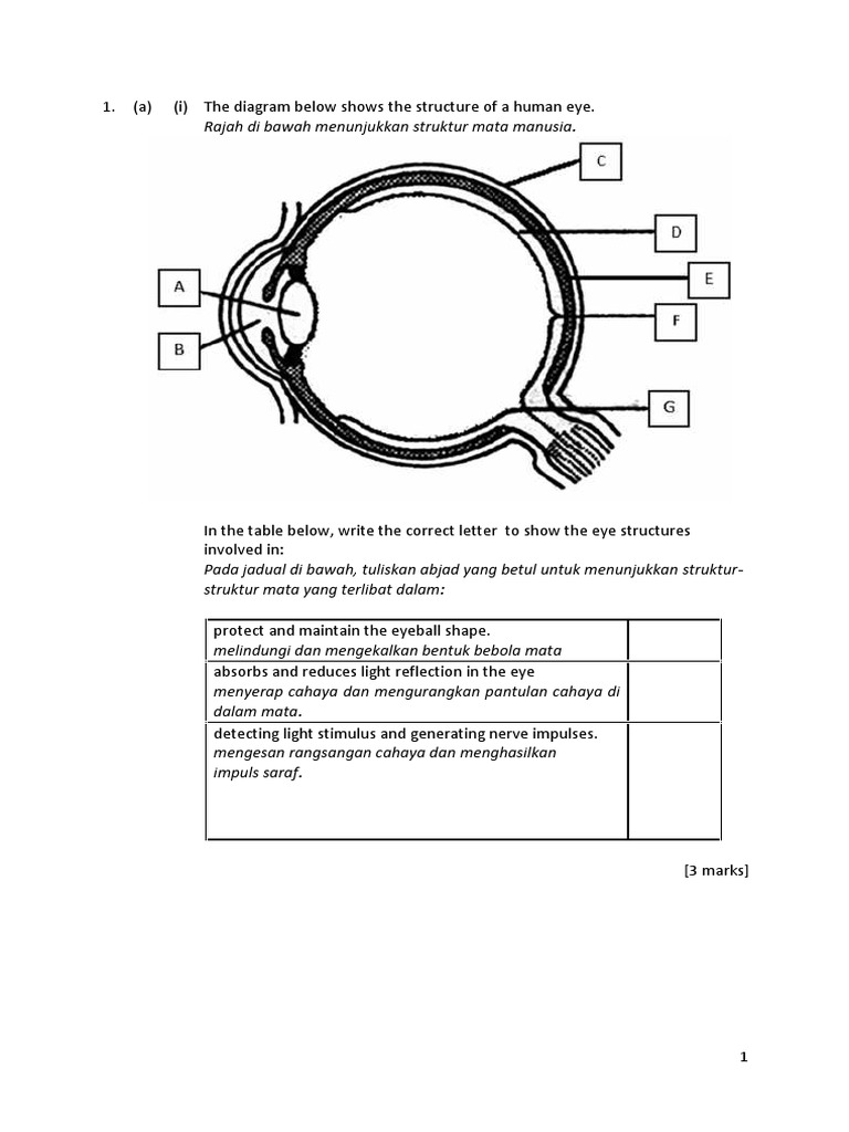 Perak State PT3 Science Paper | PDF