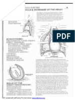 PDF Created With Pdffactory Pro Trial Version