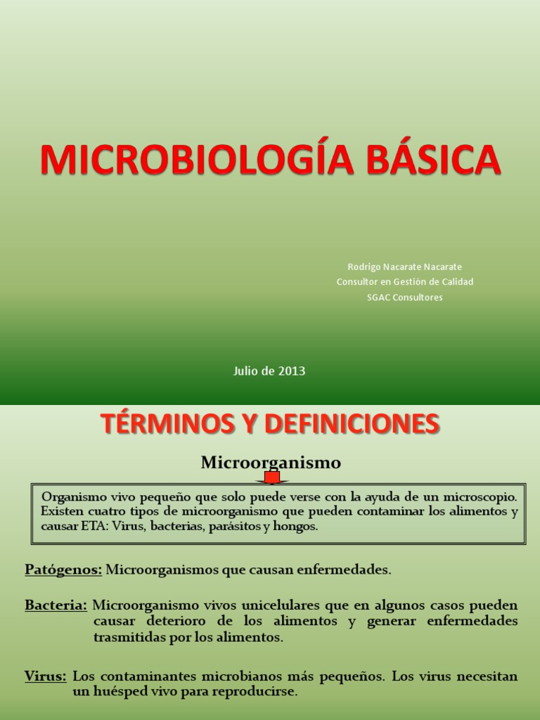 Microorganismos y su impacto en alimentos | PDF | Microorganismo ...