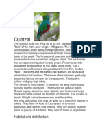 Quetzal: Habitat and Distribution