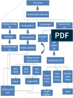 Patofisiologi Hifema