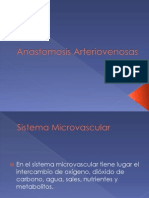 Anastomosis Arteriovenosas