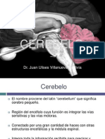 cerebelo-100601072147-phpapp02.ppt
