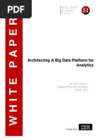 IBM - Architecting A Big Data Platform for - White Paper - IML14333USEN.pdf