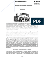 La Visión de Los Vencidos PDF