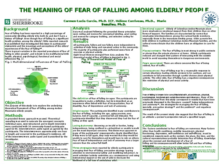 Understanding Elderly Fear of Falling | PDF | Fear | Old Age