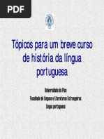 Tópicos para um breve curso de história 2