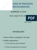 Curso Mineralogía de Procesos, Goldfields, 2014