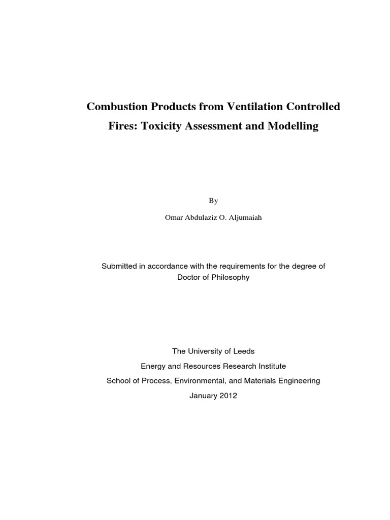 Combustion thesis image