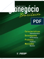 O gronegocio brasileiro.pdf