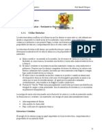 2_Organización-atómica CIENCIA DE LOS MATERIALES.pdf