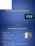 2870133-MEMBRANAS-BIOLOGICAS-TEORIA.ppt