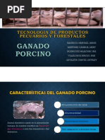 GANADO PORCINO.pdf