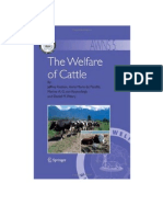 The%20Welfare%20of%20Cattle.pdf