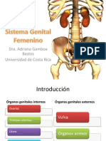 Sistema Genital Femenino.pdf