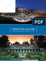 Winston-Salem Demographics Report 2009