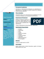 CV Karina PDF