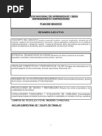 EJEMPLO FICHA TECNICA EN SERVICIOS  Tecnología  Business