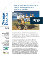 Circular Técnica - Recomendações Técnicas para o Cultivo de Hortaliças PDF