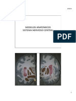Mod Neuro Nucleos2 PDF
