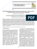 EDTA Enhanced Phytoextraction Capacity of Scirpus Maritimus L. Grown on Pb-Cr Contaminated Soil and Associated Potential Leaching Risks