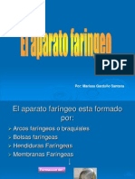 Aparato Faringeo