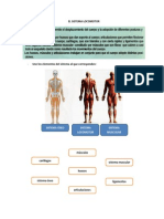 El Sistema Locomotor