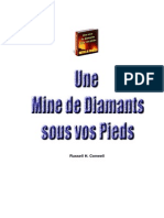 Une mine de diamants sous vos pieds.pdf