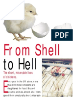Shell To Hell