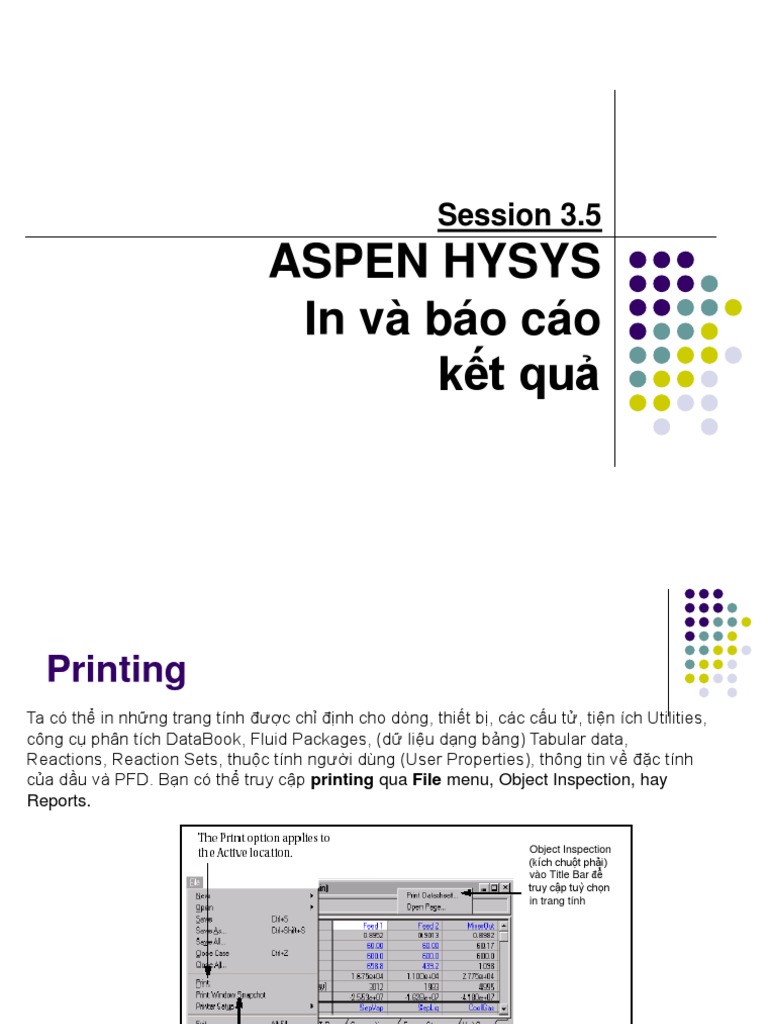 HYSYS Reporting and Data Analysis Guide | PDF