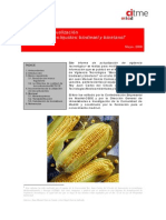 Informe de Actualización Biocarburantes.pdf
