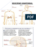 Clase7._HOTMONAS (1).ppt