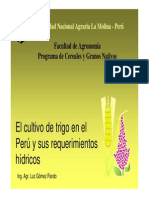 -biblioteca-exposiciones-Cultivo_de_trigo_y_sus_requerimientos_hibridos.pdf