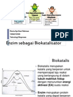 Tugas 1 Biokatalis-Denia A.R-1206212344
