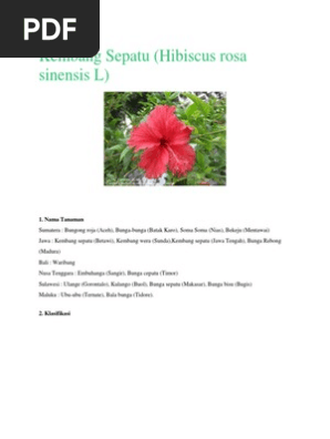 Kembang Sepatu Pdf