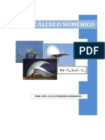 Apostila - Cálculo Numérico