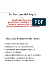 Músc. Espinales e Intercost