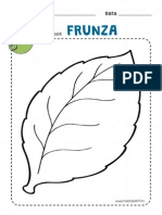 FRUNZA.pdf