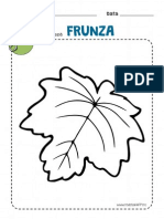 frunza3.pdf