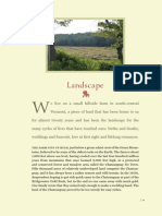 An Unlikely Vineyard: Landscape