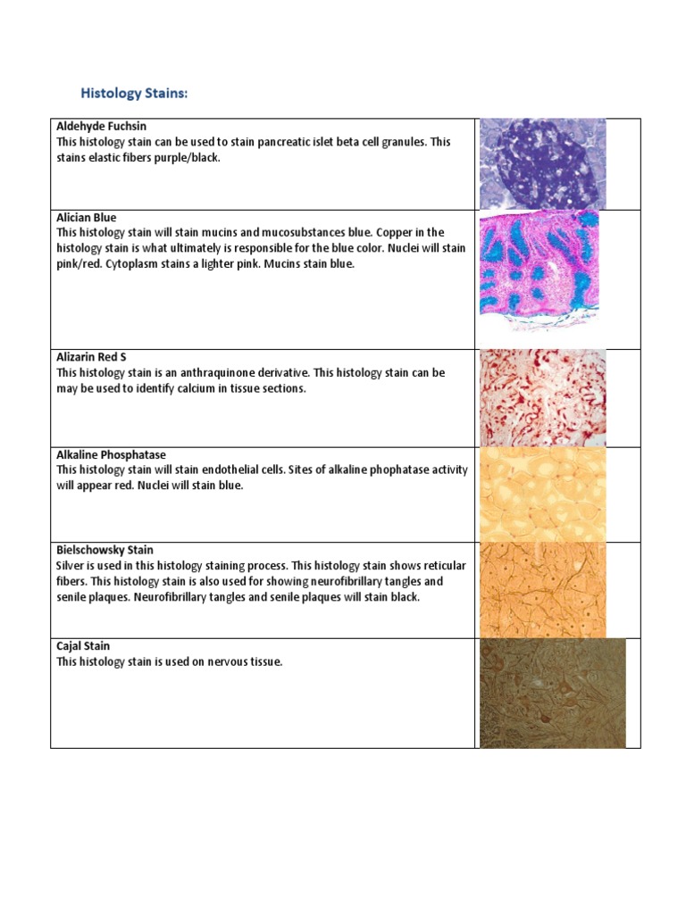 Histology Stains | Staining | Histology