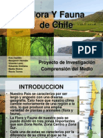 Flora y fauna de Chile: adaptaciones a distintos climas