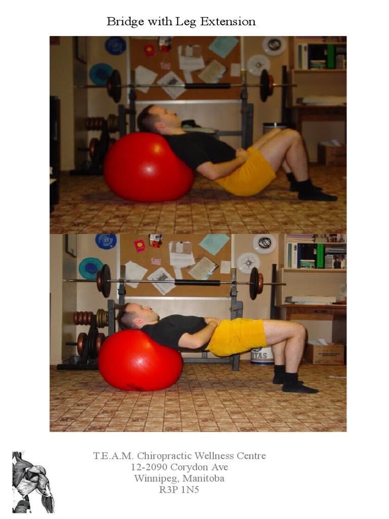Bridge With Leg Extension | PDF