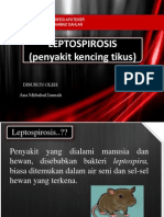 Leptospirosis