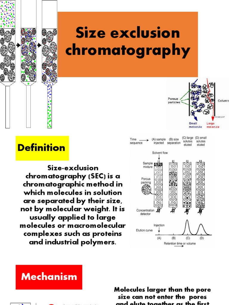 Size Exclusion Chromatography | PDF | Analytical Chemistry | Biochemistry