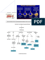 ATEROSKLEROSIS