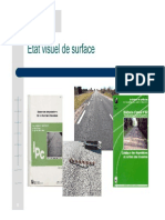 CETE Etat visuel de surface.pdf