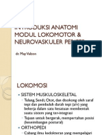 Introduksi Anatomi Dan Fisologi Modul 2.2