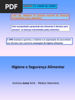 HSA 2 (apresentação).ppt